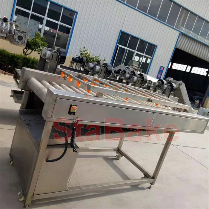 Fruit Vegetable Washing And Drying Processing Line