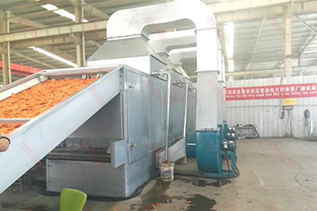 South Africa Carrot Drying Machine Customer