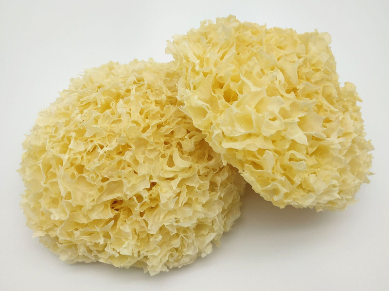 Dehydrated white fungus