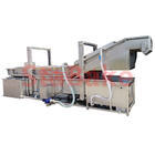 Features of bubble fruit and vegetable washing machine