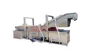 Selection criteria for fruit and vegetable cleaning lines
